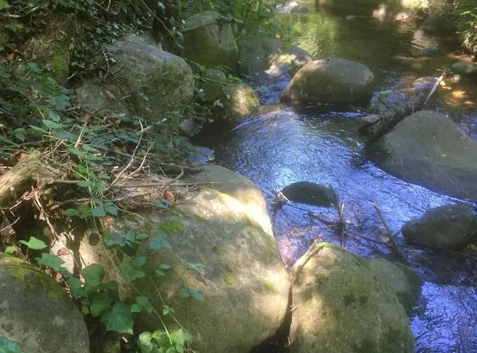 Les Arches Du Cloitre 홈스테이 *