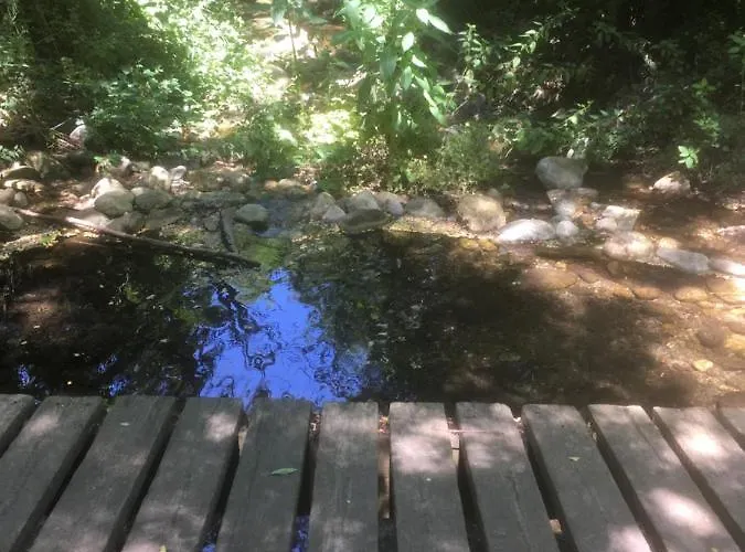 Les Arches Du Cloitre *